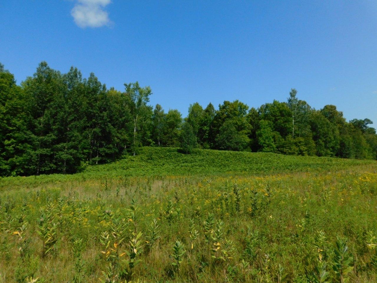 On On Clover Road Winter, WI 54896 - Photo 6 of 19 Gallery Image 6