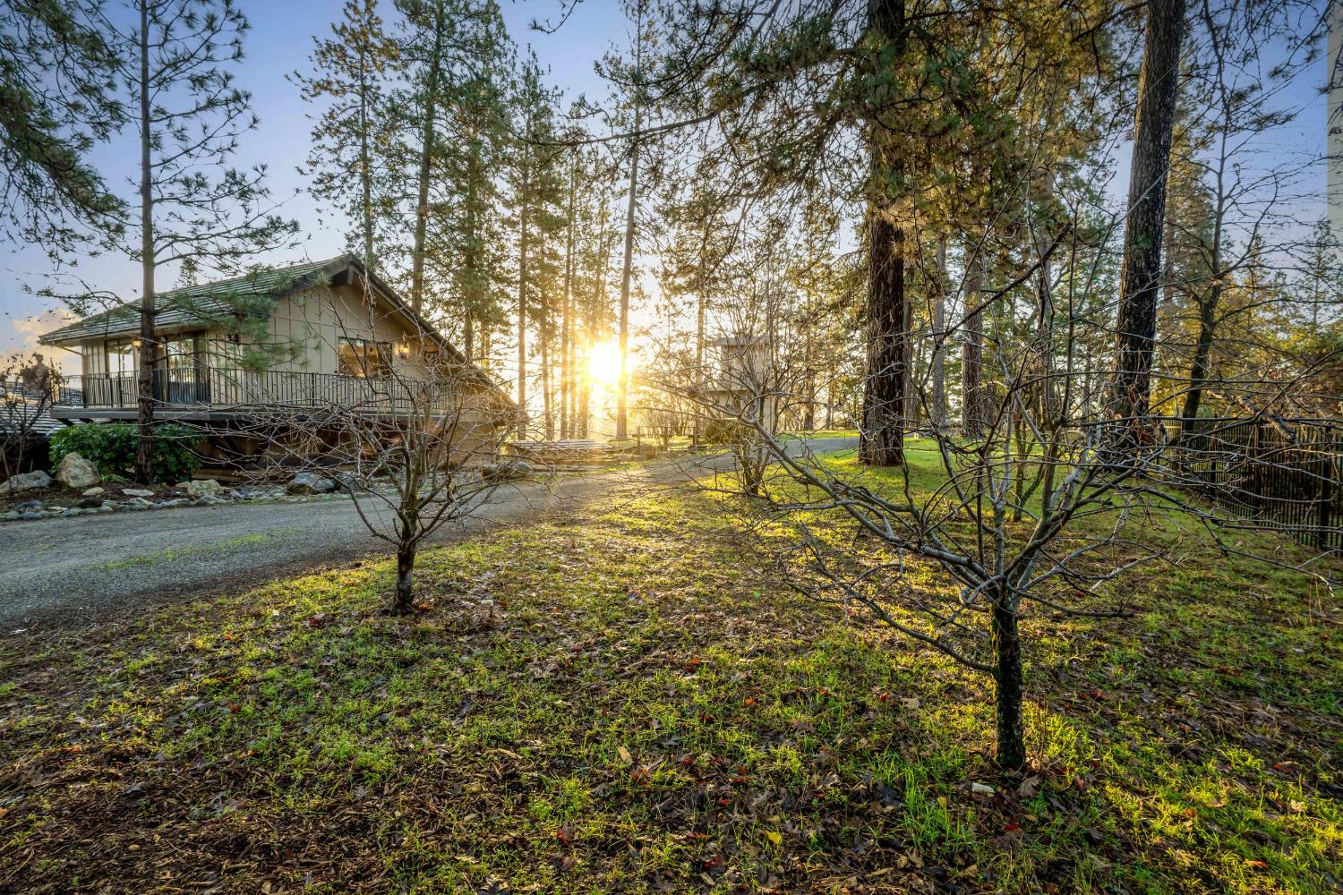 20990 Tiger Tail Road Grass Valley, CA 95949 - Photo 75 of 99