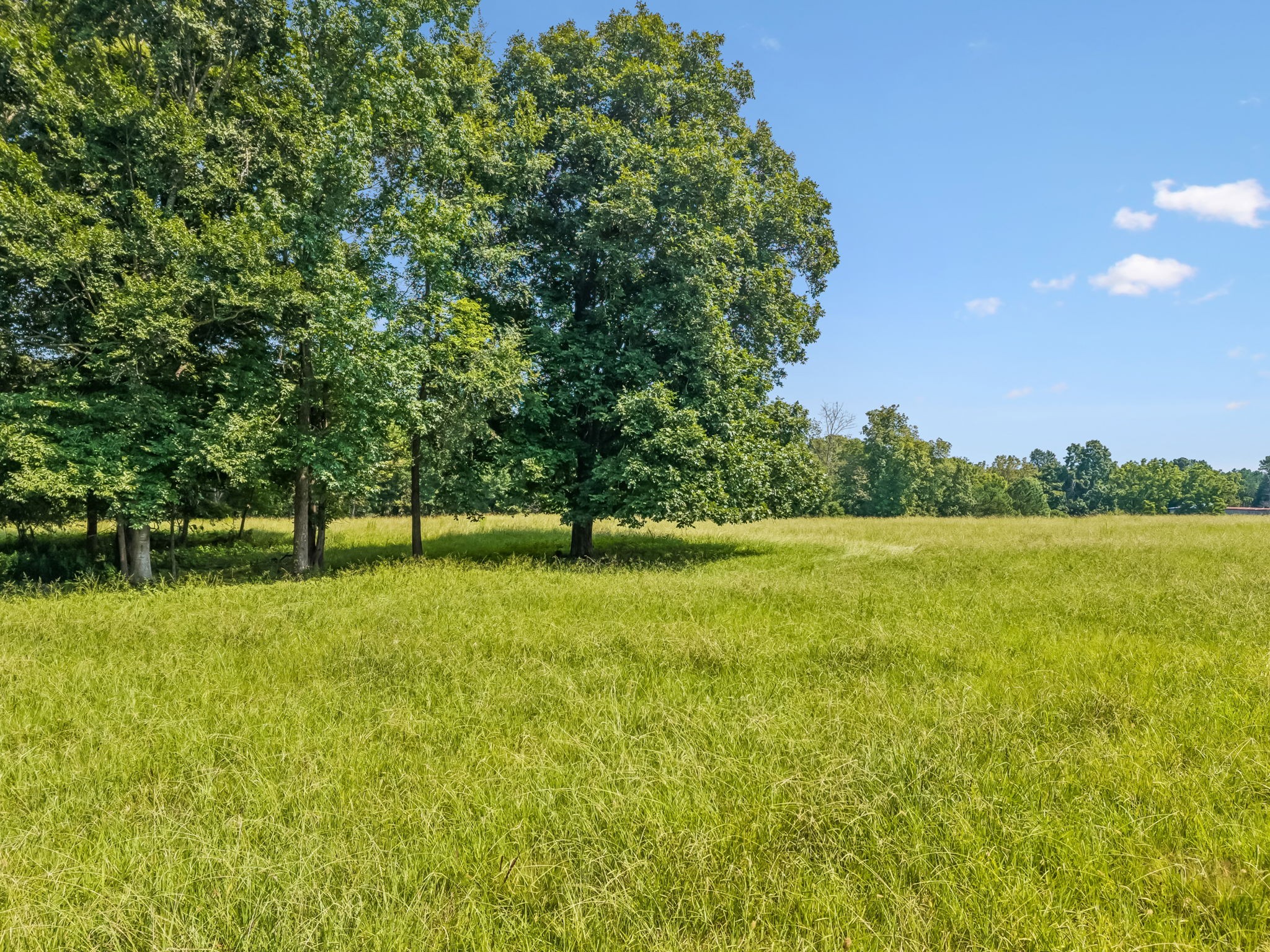 2362 Fall River Road Goodspring, TN 38460 - Photo 65 of 73 Gallery Image 65
