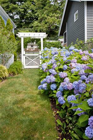 19 Beach Road Hingham, MA 02043 - Photo 16 of 25 Gallery Image 16