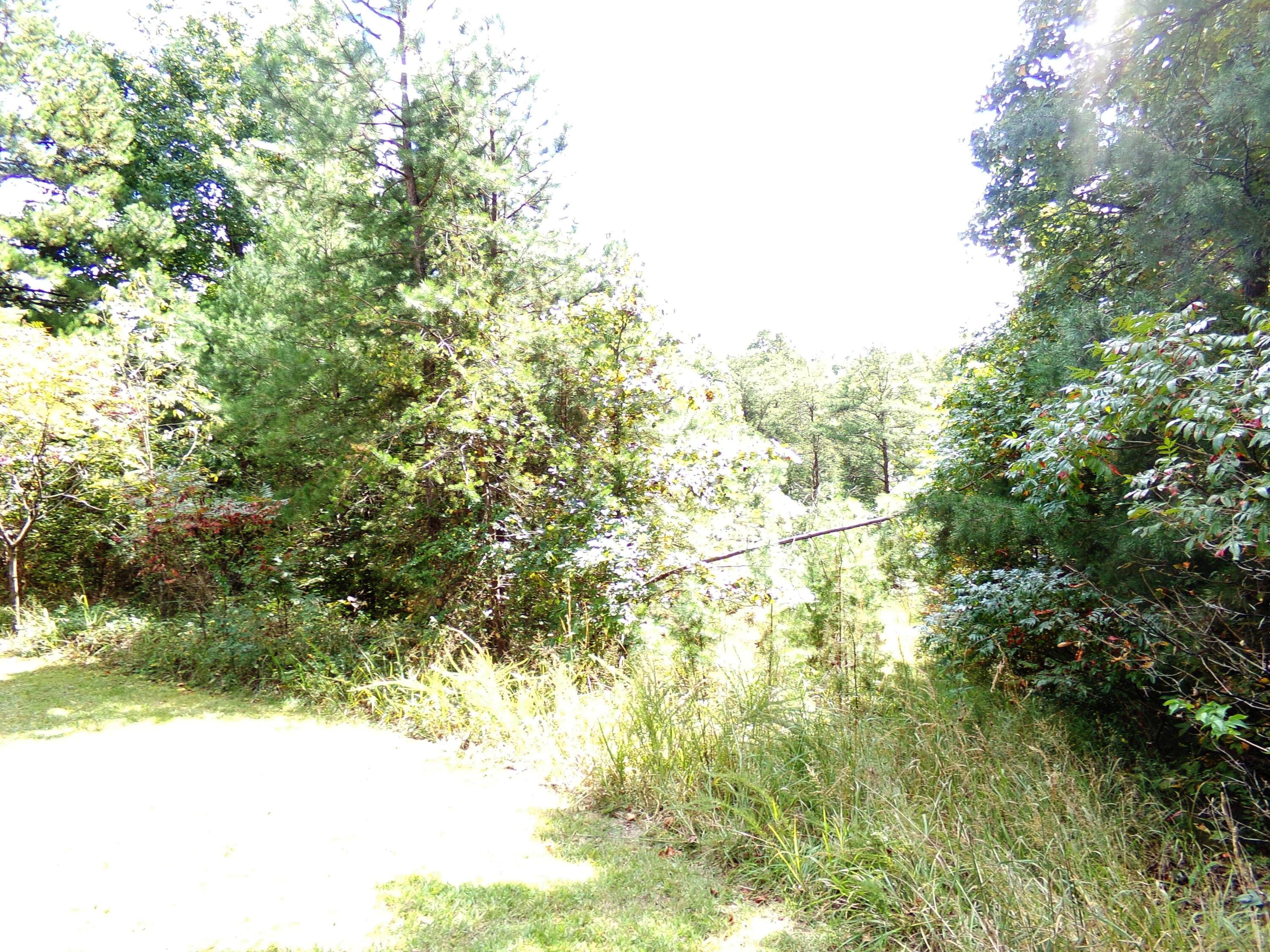 351 Morganview Road Wellington, KY 40387 - Photo 15 of 15 046