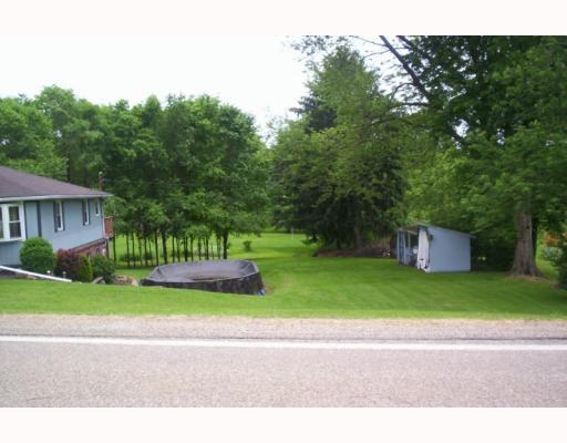 Yard/Garden. 