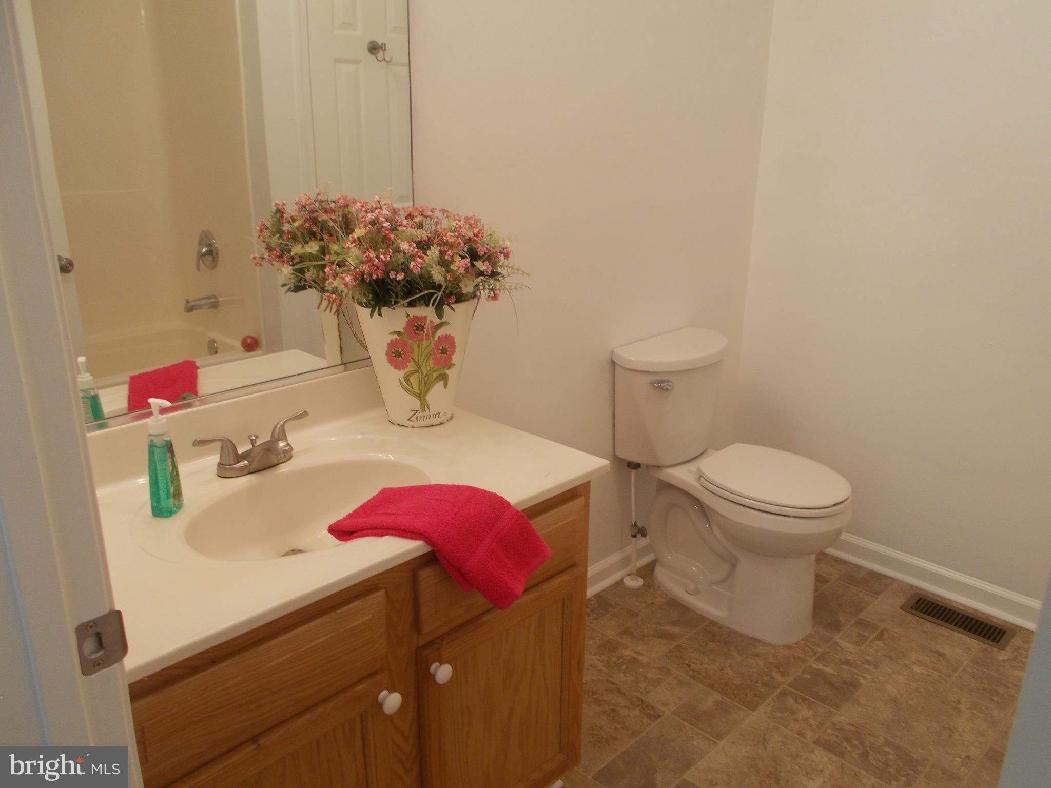 321 White Walnut Road Louisa, VA 23093 - Photo 15 of 30 Bath (Master)