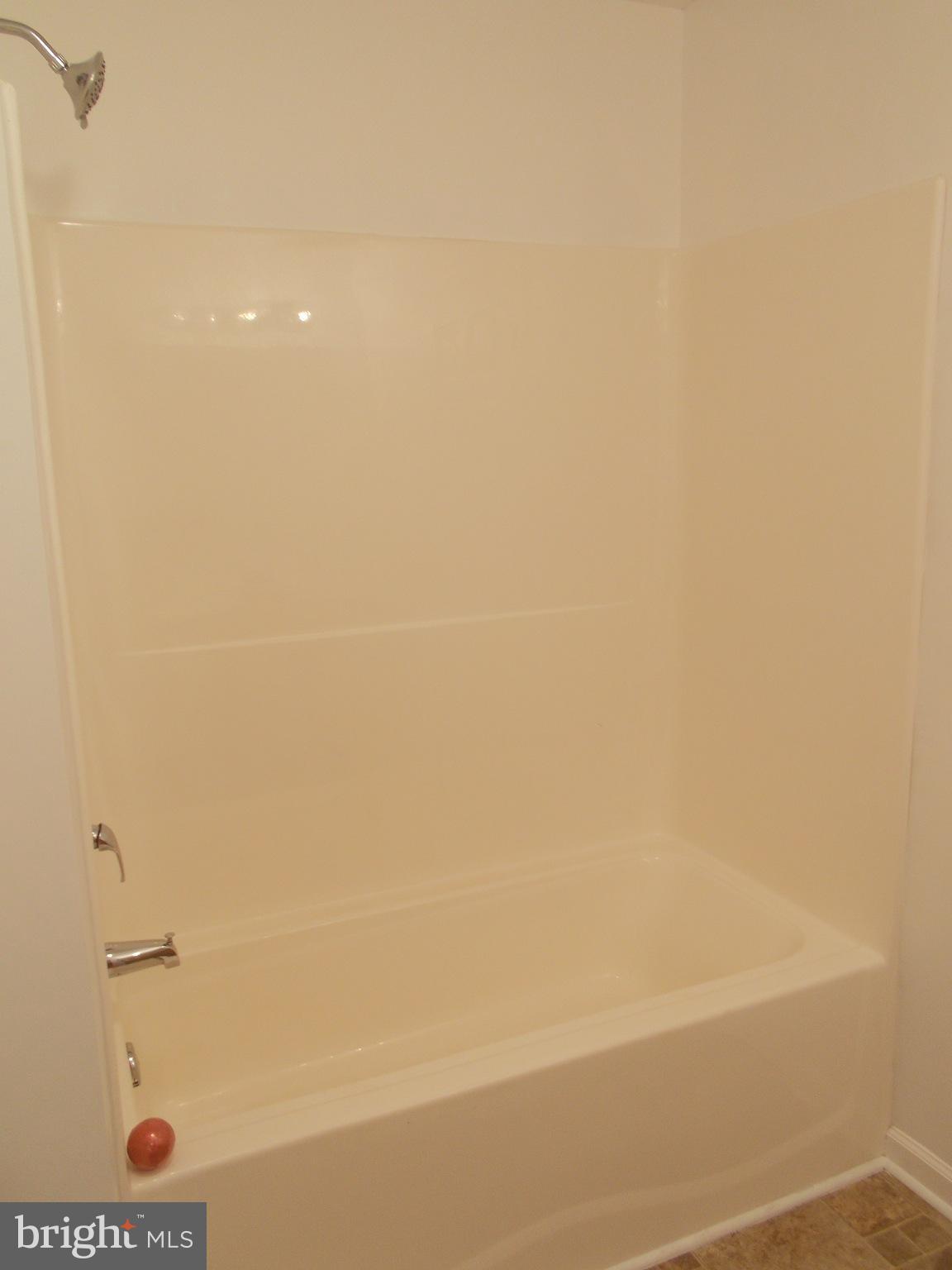 321 White Walnut Road Louisa, VA 23093 - Photo 16 of 30 Bath (Master)