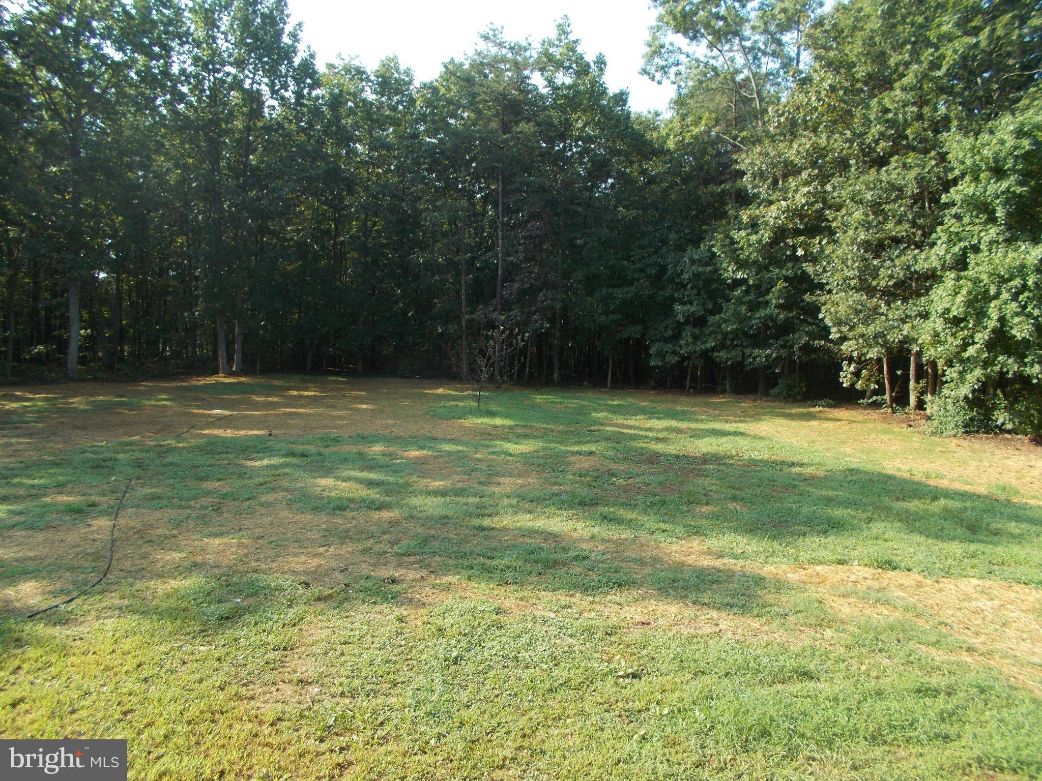 321 White Walnut Road Louisa, VA 23093 - Photo 27 of 30 Exterior (Rear)