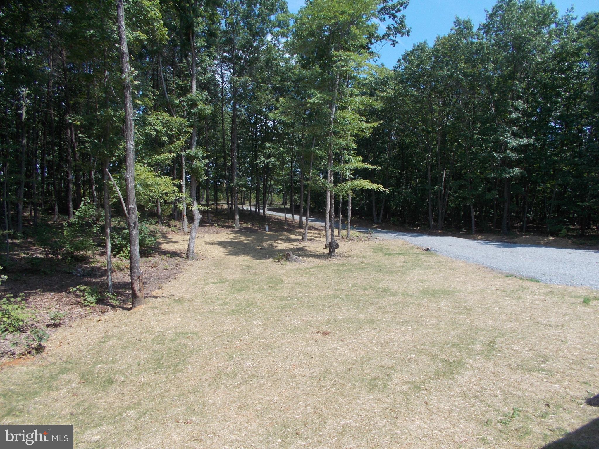 321 White Walnut Road Louisa, VA 23093 - Photo 29 of 30 Exterior (Front)