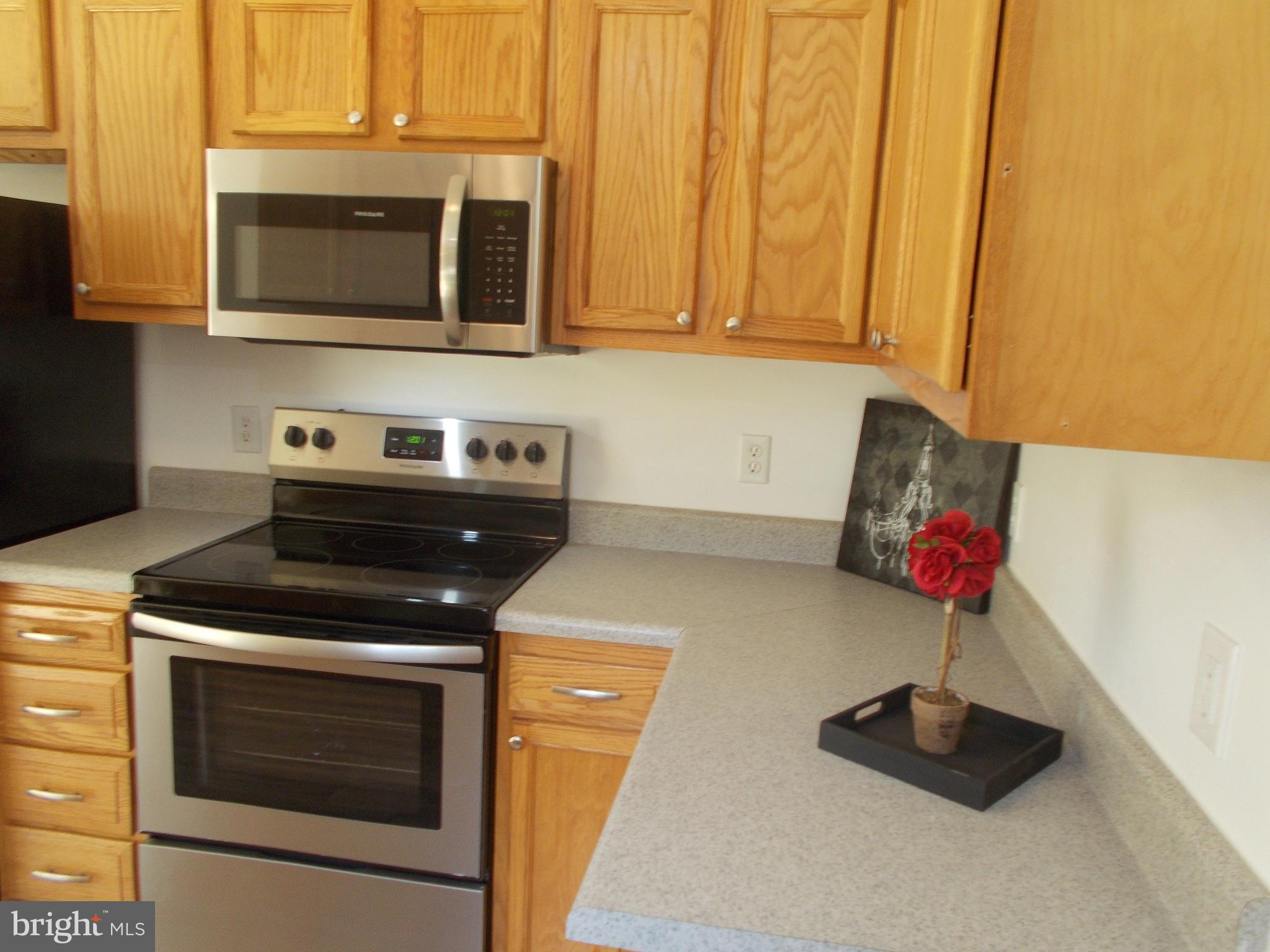 321 White Walnut Road Louisa, VA 23093 - Photo 9 of 30 Kitchen