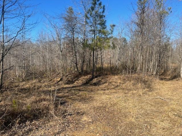 3011 Mark Foster Road Talking Rock, GA 30175 - Photo 11 of 13 a view of backyard with wooden fence