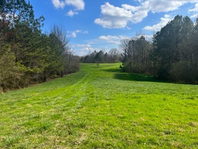 3011 Mark Foster Road Talking Rock, GA 30175 - Photo 2 of 13 a view of yard with green space