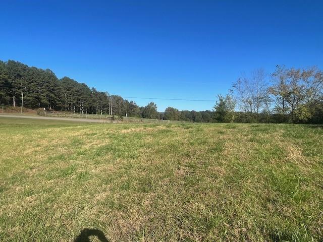 3011 Mark Foster Road Talking Rock, GA 30175 - Photo 4 of 13 a view of a field with an ocean