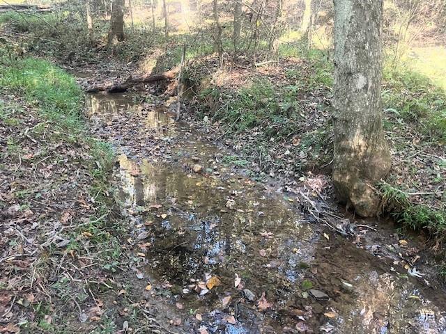 3011 Mark Foster Road Talking Rock, GA 30175 - Photo 5 of 13 a view of a forest with lots of trees