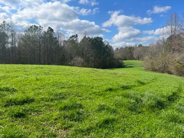 3011 Mark Foster Road Talking Rock, GA 30175 - Photo 6 of 13 a view of an ocean view and garden