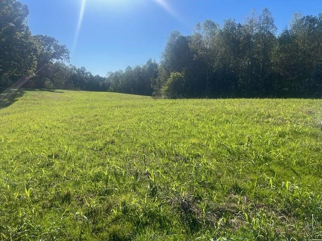 3011 Mark Foster Road Talking Rock, GA 30175 - Photo 9 of 13 a view of yard with swimming pool and trees