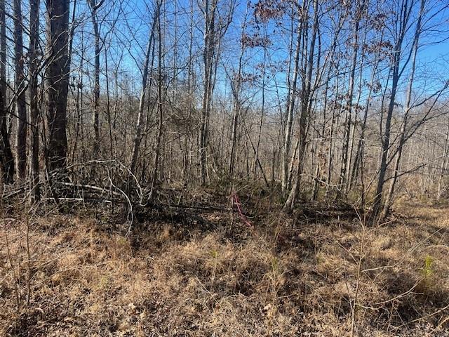 3011 Mark Foster Road Talking Rock, GA 30175 - Photo 10 of 13 a view of a yard