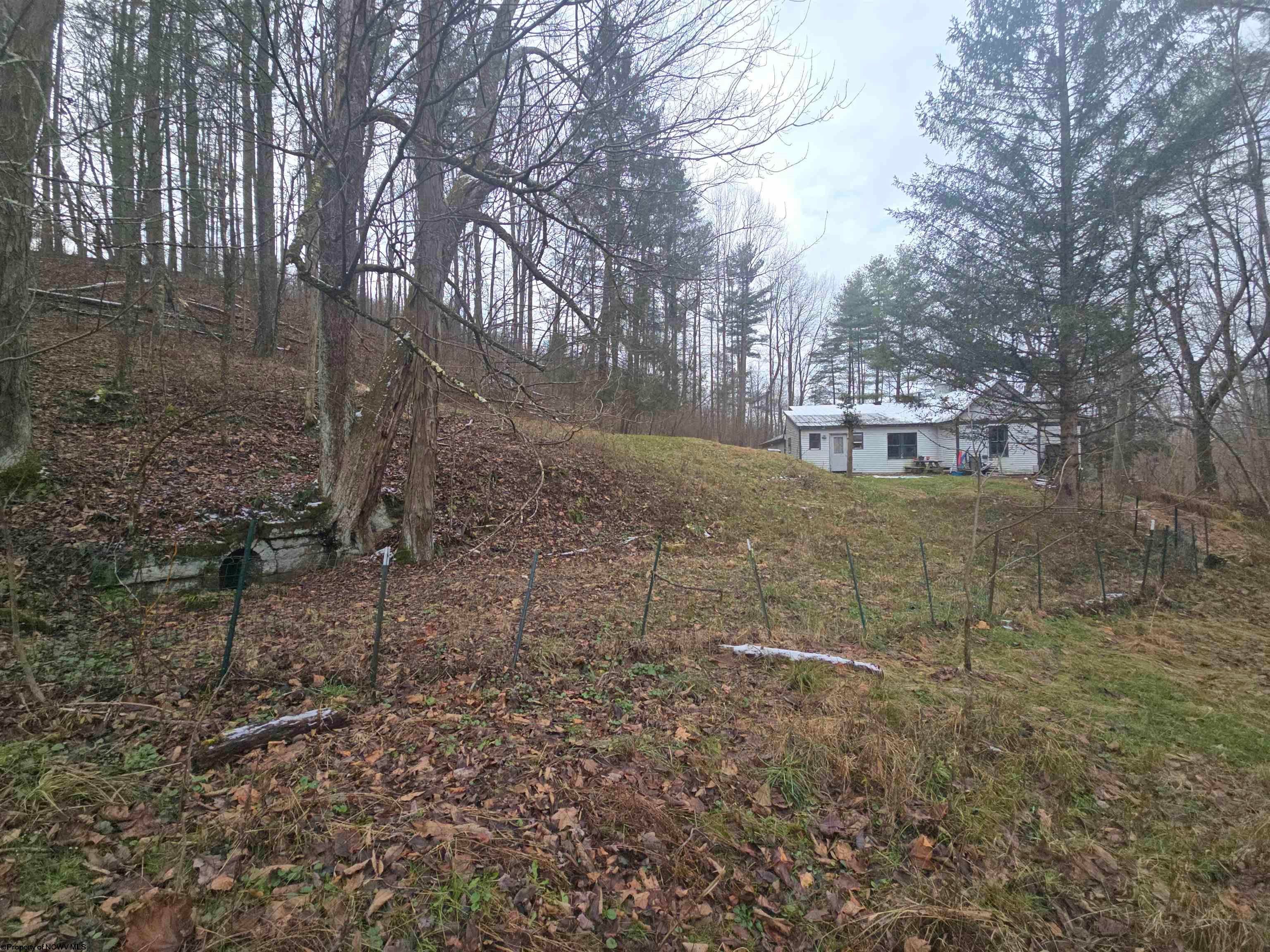 238 Ivy Road Buckhannon, WV 26201 - Photo 2 of 45 Gallery Image 2