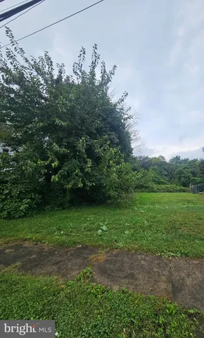 a view of a yard with a tree