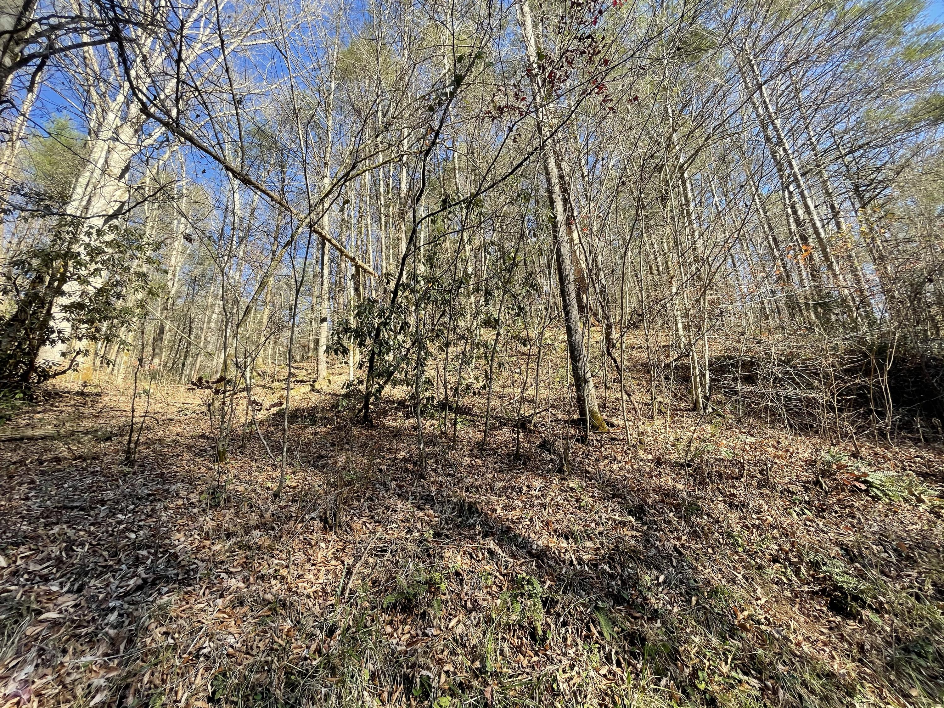 0 Rabbit Hill Road, Unit 8 Hartford, TN 37753 - Photo 1 of 5 Picture from the Road