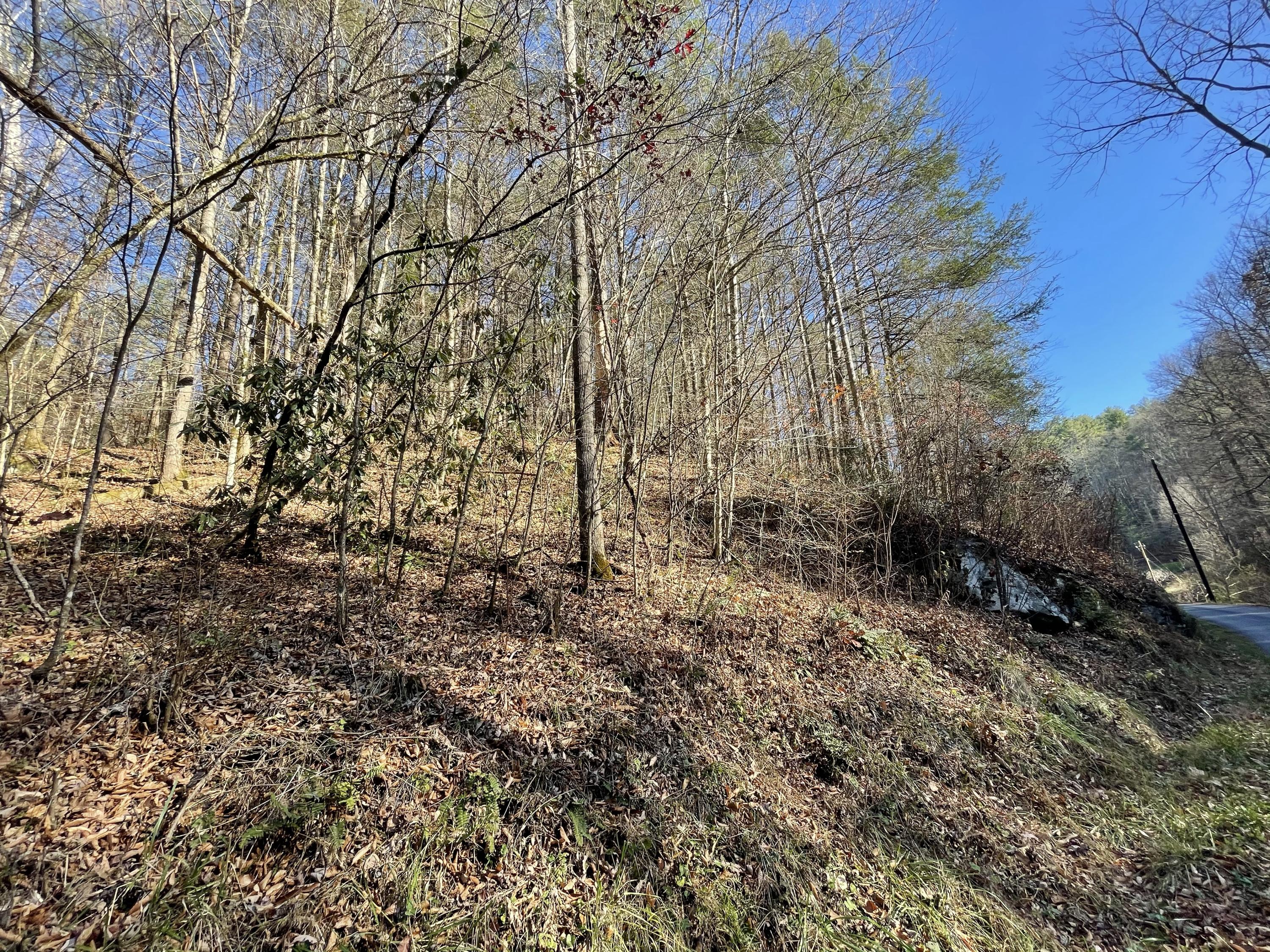 0 Rabbit Hill Road, Unit 8 Hartford, TN 37753 - Photo 2 of 5 5