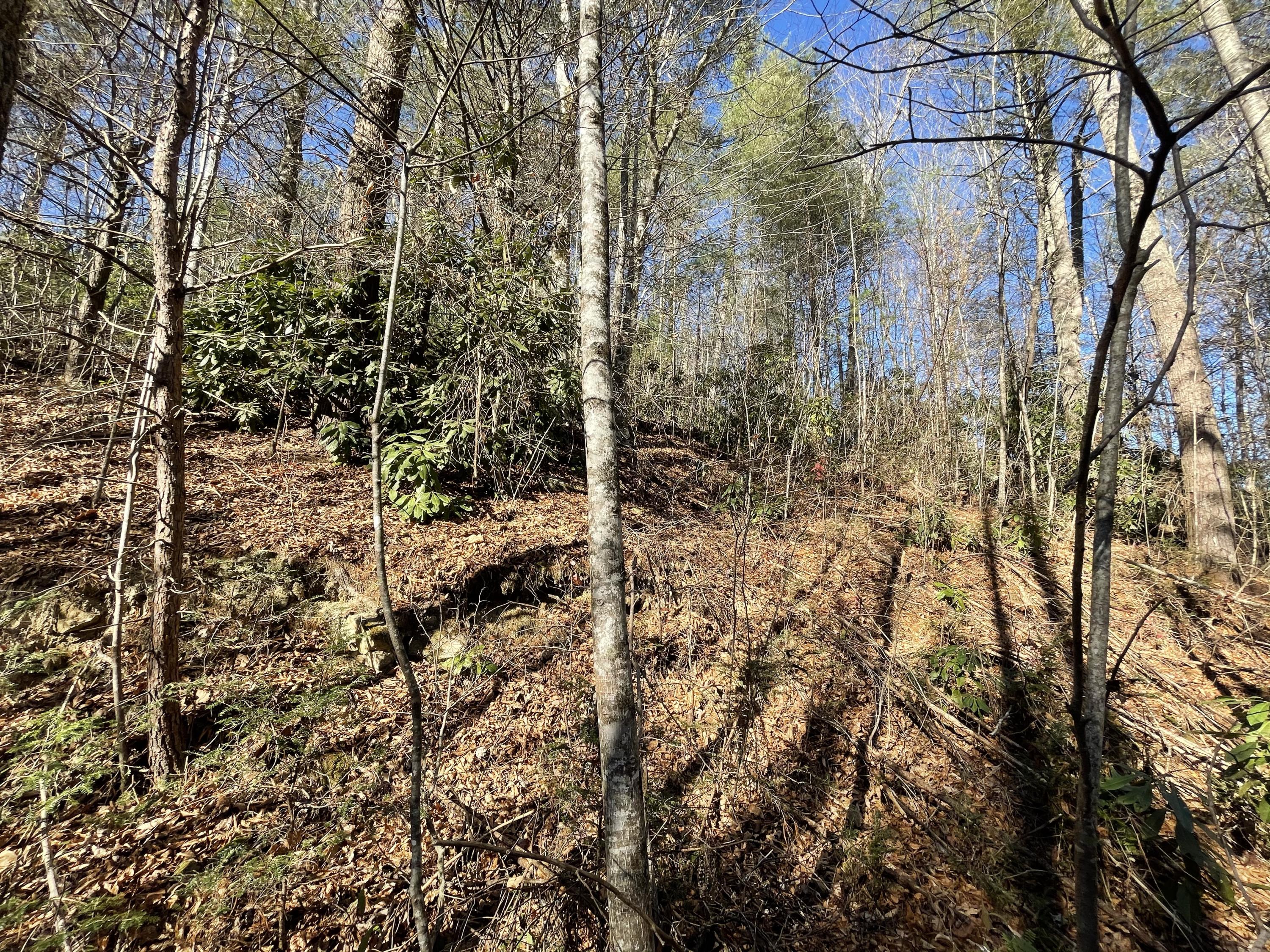 0 Rabbit Hill Road, Unit 8 Hartford, TN 37753 - Photo 4 of 5 7