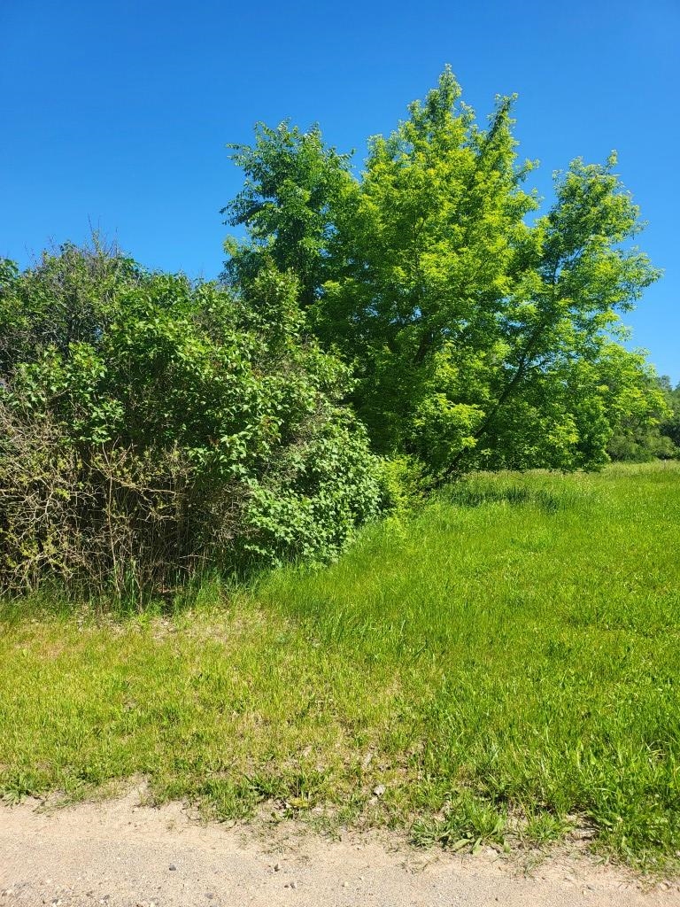 4957 East Valley Road Mount Pleasant, MI 48858 - Photo 4 of 6