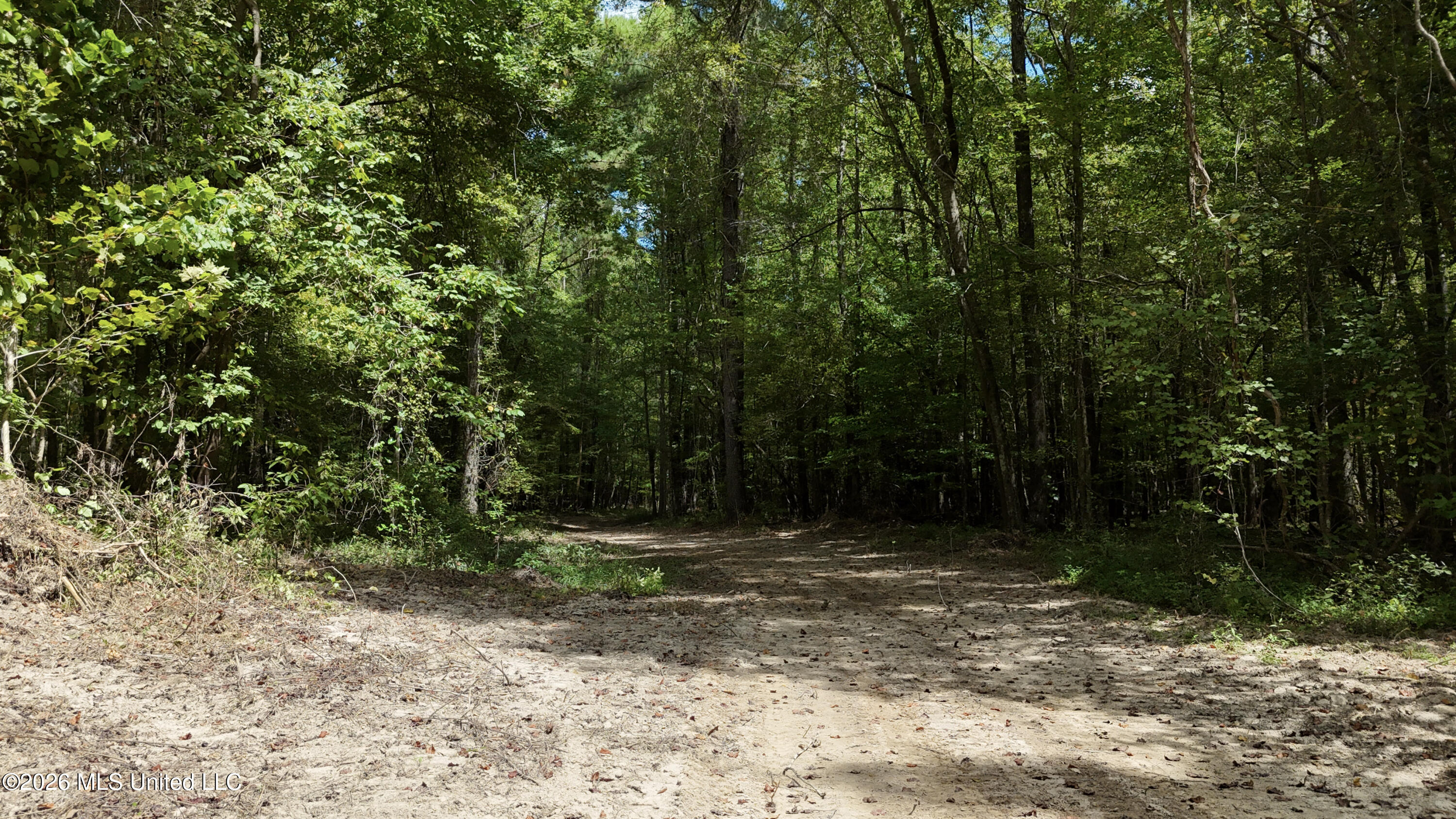 Mcintyre Road Brandon, MS 39042 - Photo 17 of 100 34-DJI_20260901121248_0144_D