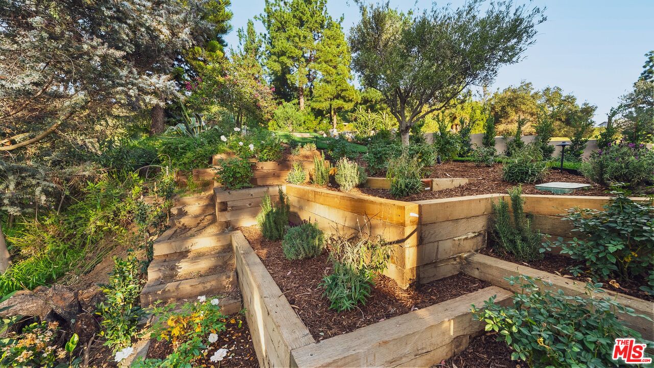 13146 Rivers Road Los Angeles, CA 90049 - Photo 40 of 42 a view of a yard with plants and a large tree