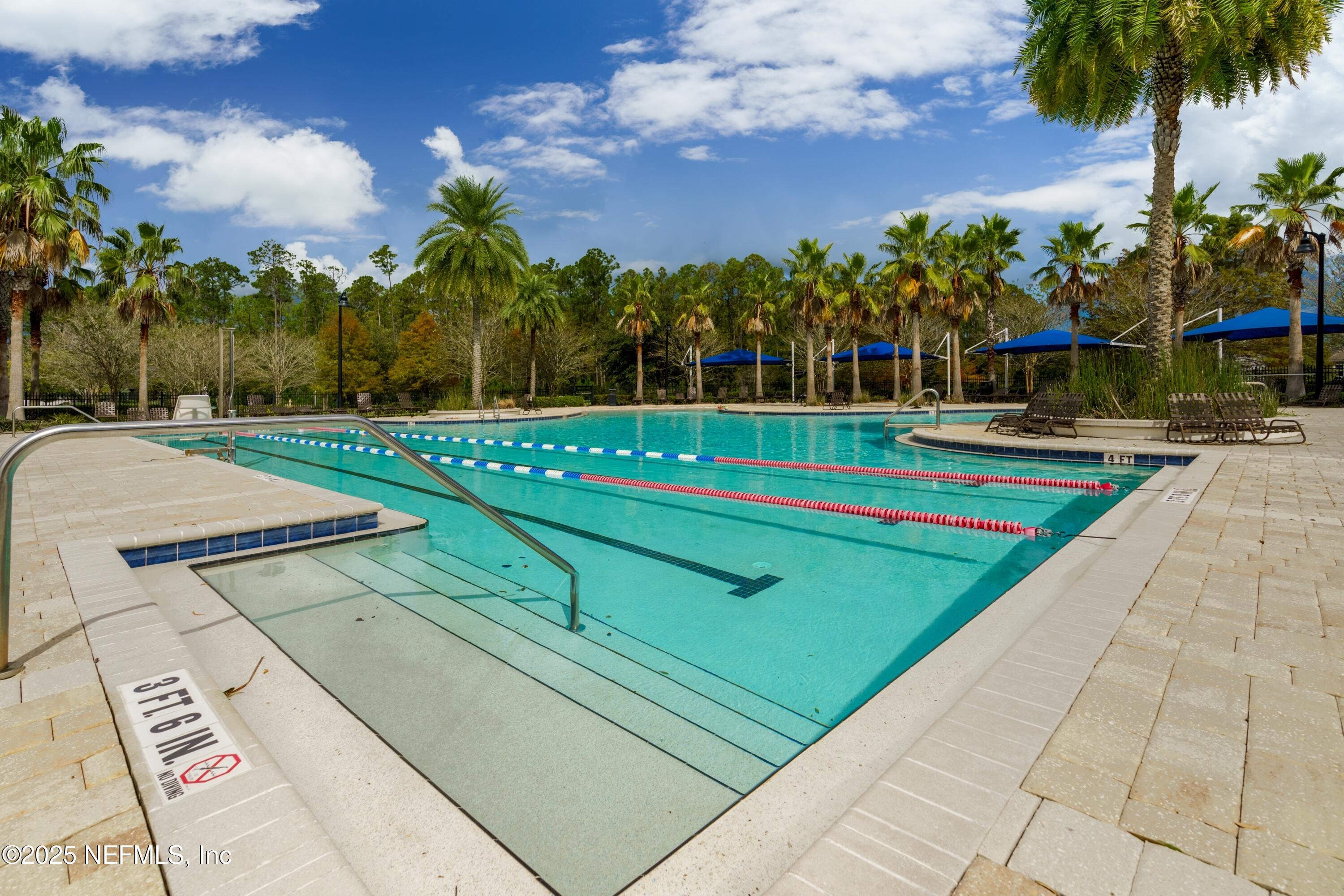 78 Wayfare Lane Jacksonville, FL 32081 - Photo 42 of 61 a view of a swimming pool with a yard and palm trees