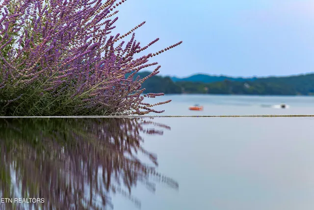 $9,950,000 | 10628 Albion Way, Knoxville, TN 37922