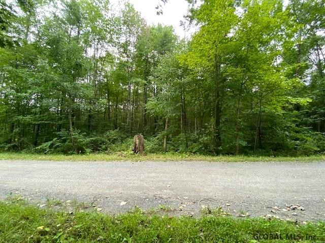 64 Sweet Road Gansevoort, NY 12831 - Photo 1 of 10 Photo 1