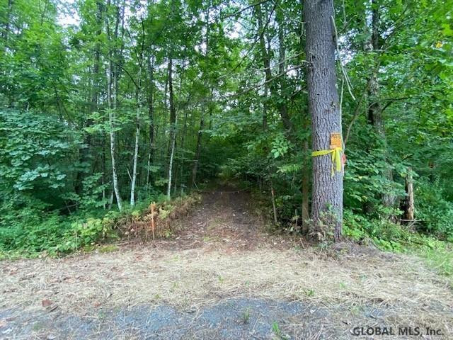 64 Sweet Road Gansevoort, NY 12831 - Photo 3 of 10 Photo 3