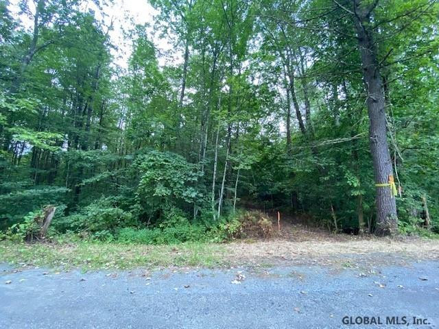 64 Sweet Road Gansevoort, NY 12831 - Photo 4 of 10 Photo 4