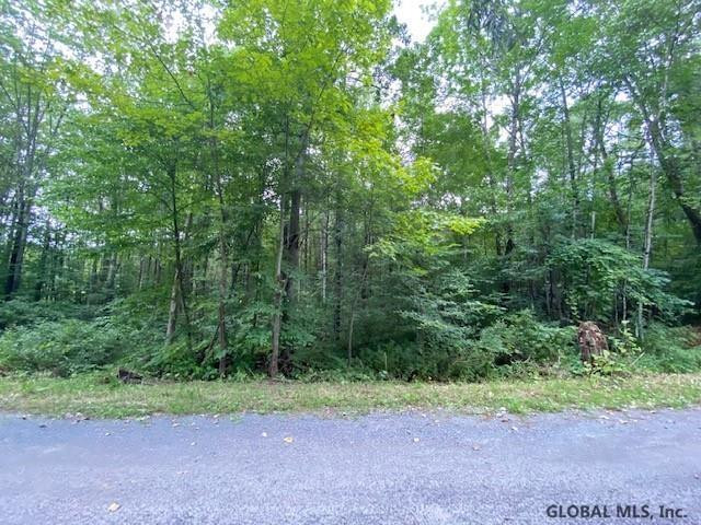 64 Sweet Road Gansevoort, NY 12831 - Photo 5 of 10 Photo 5