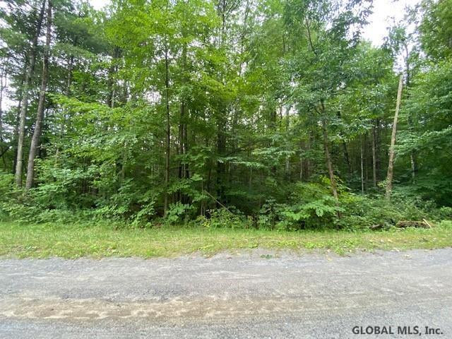 64 Sweet Road Gansevoort, NY 12831 - Photo 6 of 10 Photo 6