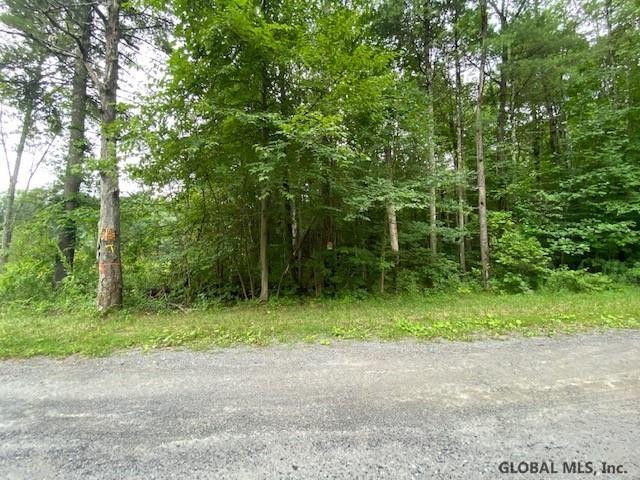 64 Sweet Road Gansevoort, NY 12831 - Photo 7 of 10 Photo 7