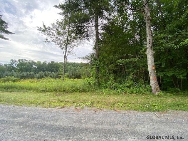64 Sweet Road Gansevoort, NY 12831 - Photo 8 of 10 Photo 8
