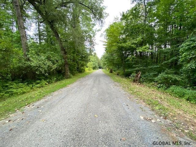 64 Sweet Road Gansevoort, NY 12831 - Photo 9 of 10 Photo 9