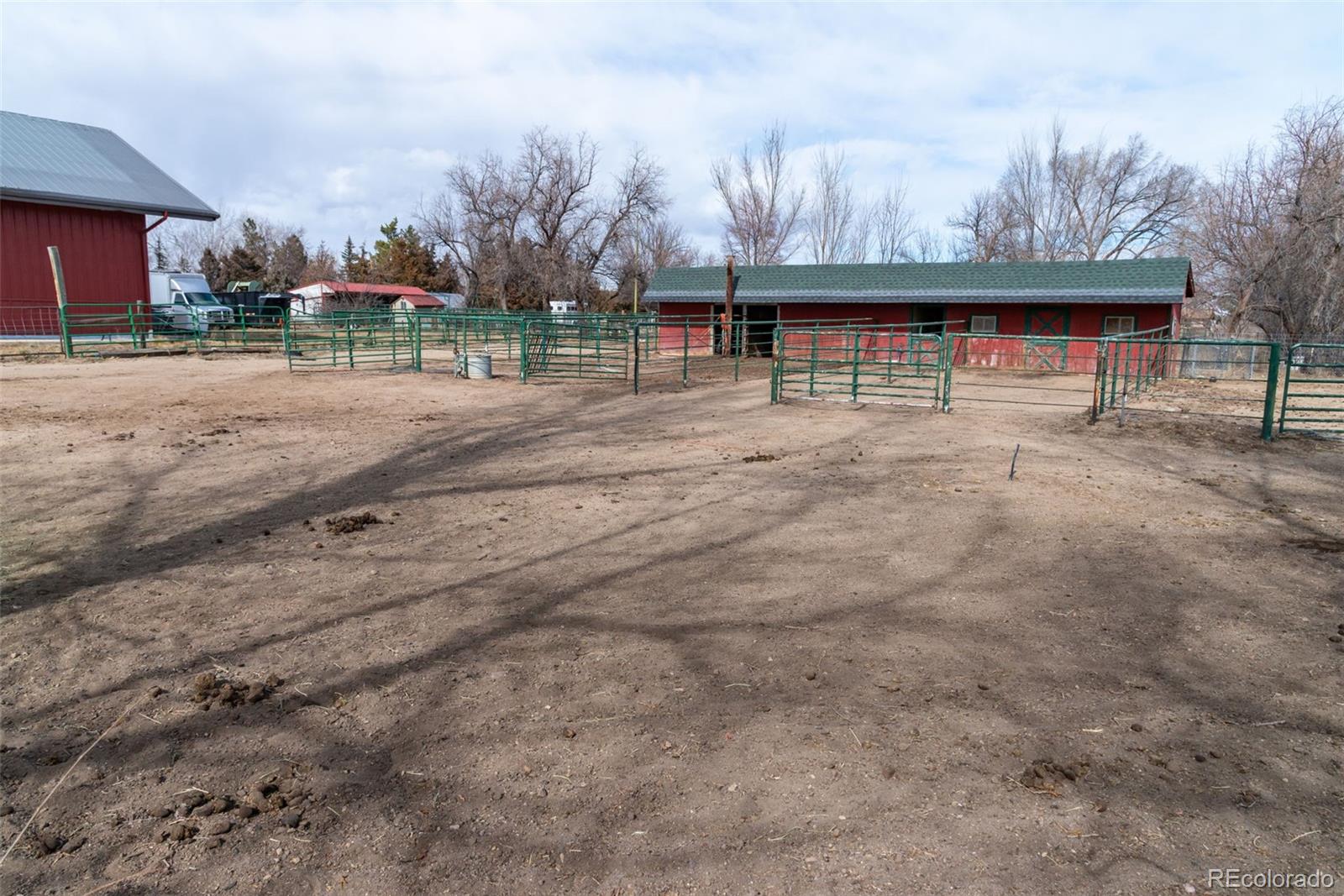 6263 Laodicea Road Longmont, CO 80503 - Photo 24 of 45 a backyard of a house with lots of green space and plants