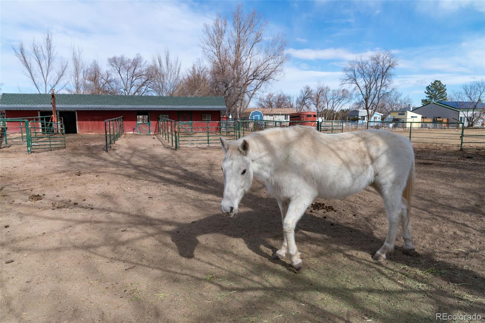 6263 Laodicea Road Longmont, CO 80503 - Photo 6 of 45 a view of a yard with table and chair