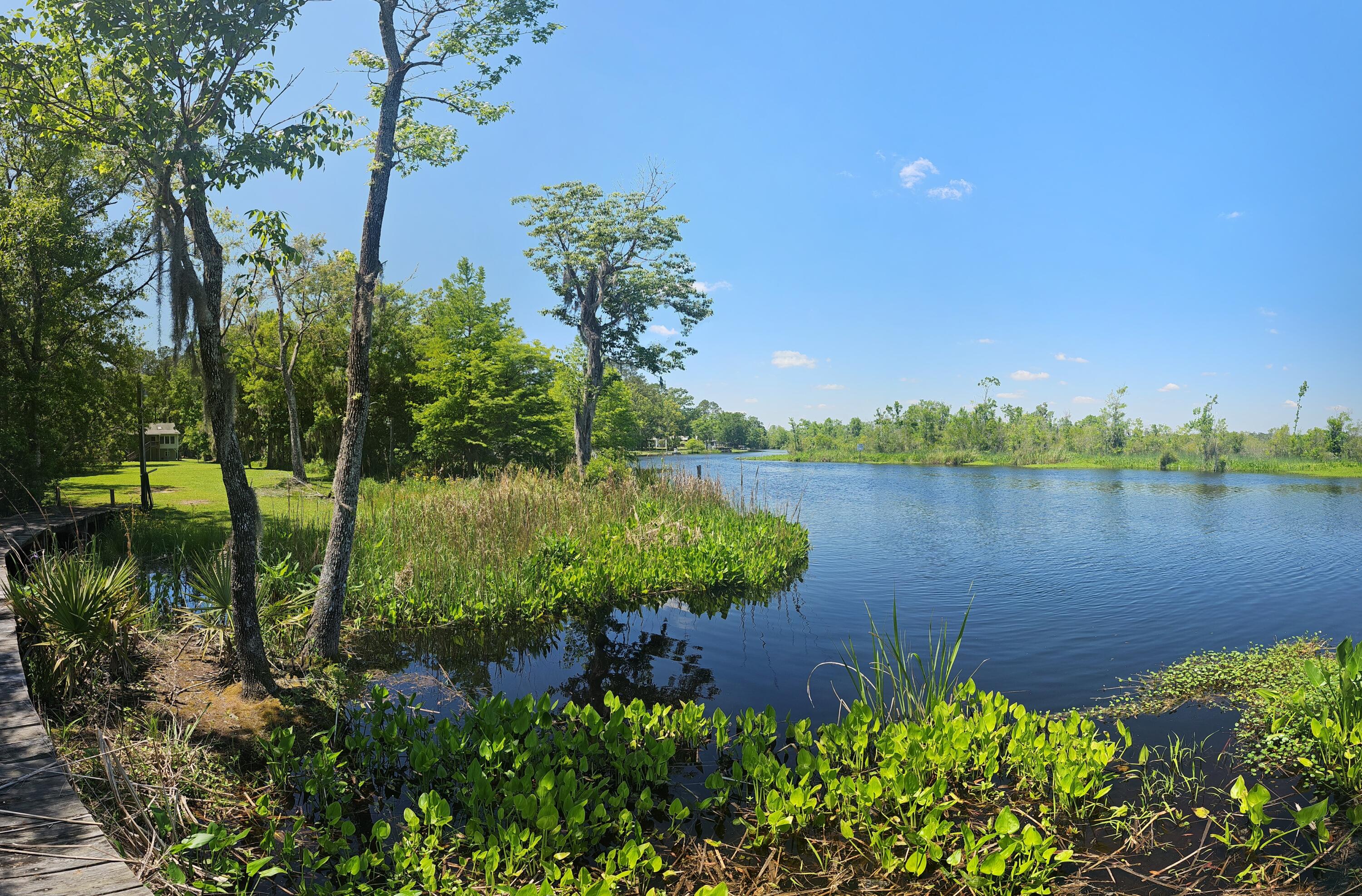 757 Back Field Road Walterboro, SC 29488 - Photo 95 of 97 DJI_20240424_133736_65_pano