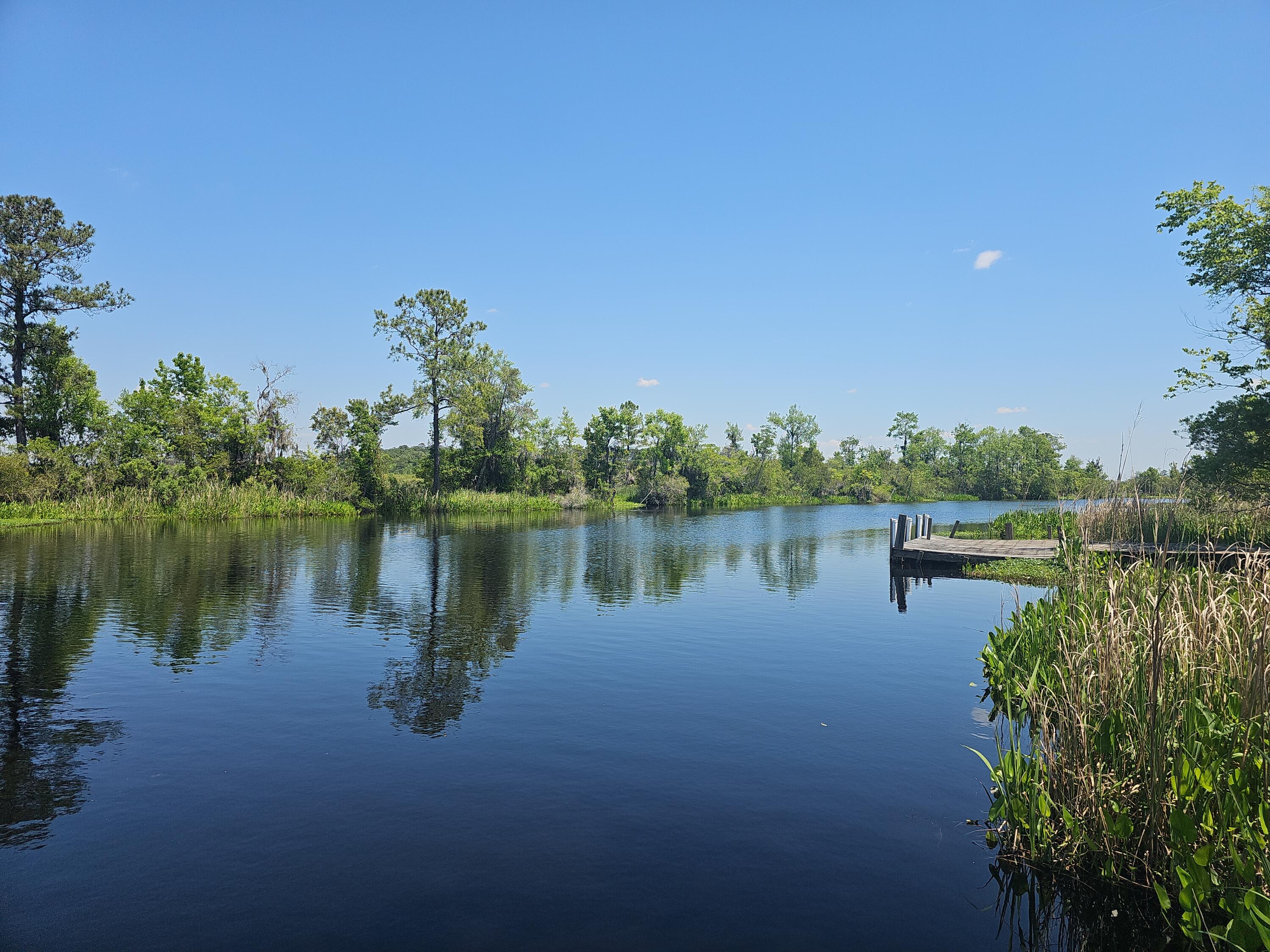 757 Back Field Road Walterboro, SC 29488 - Photo 96 of 97 DJI_20240424_134729_79