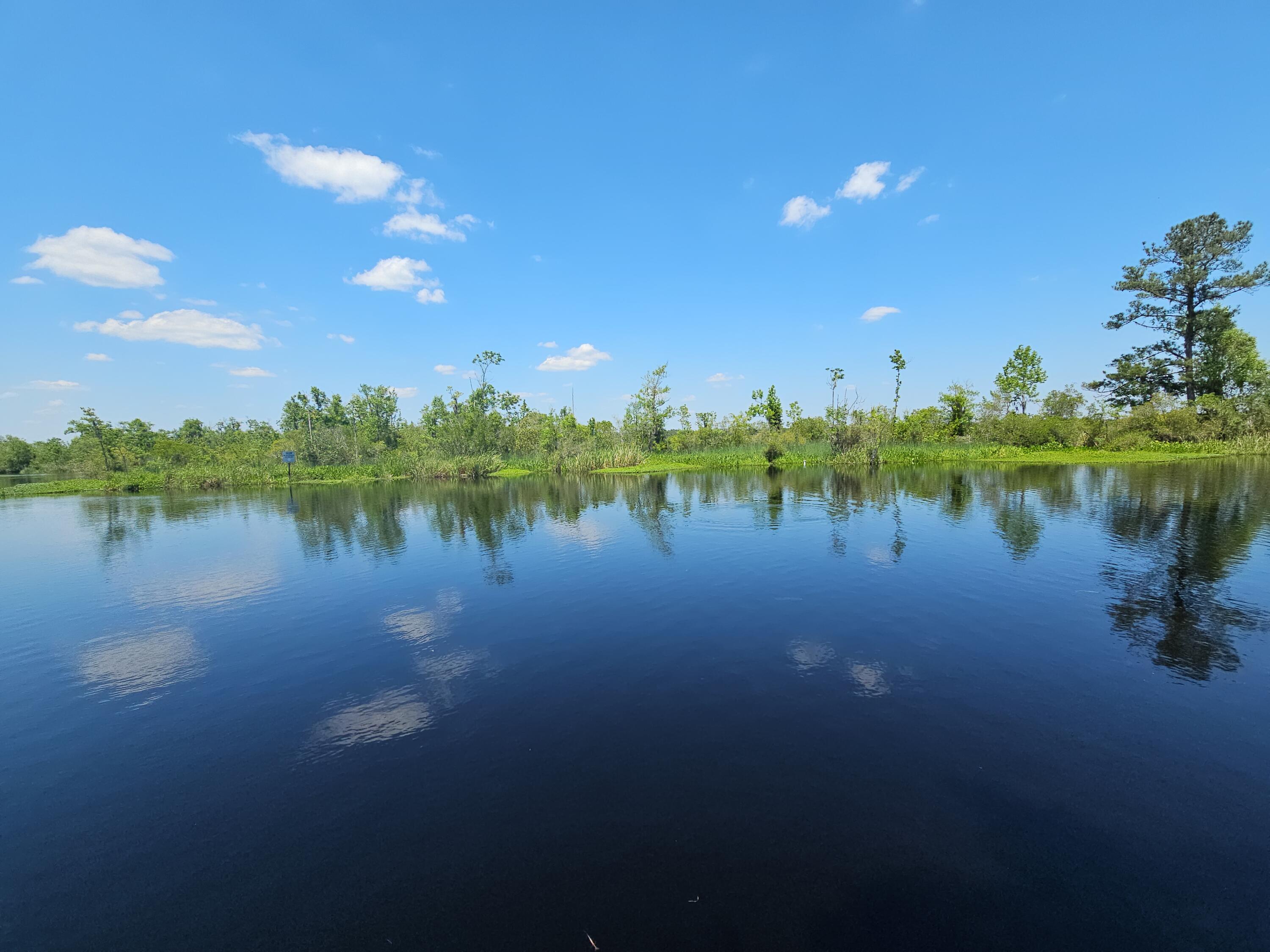 757 Back Field Road Walterboro, SC 29488 - Photo 97 of 97 DJI_20240424_134743_80