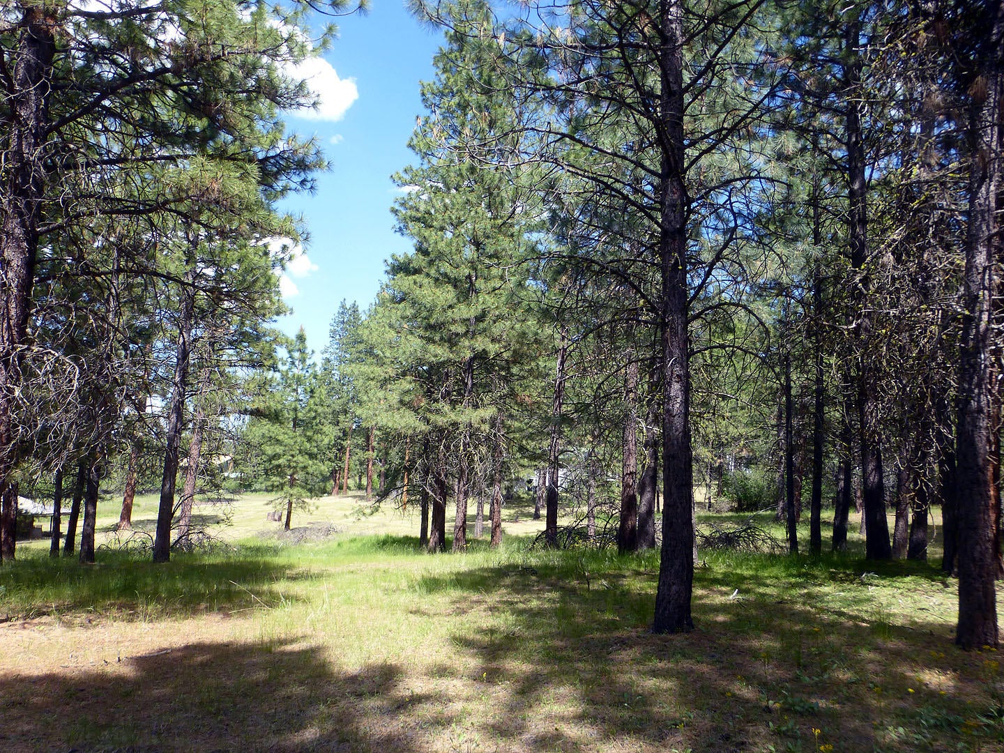 12350 Kann Springs Road Keno, OR 97627 - Photo 37 of 39 12350KannSp.-37