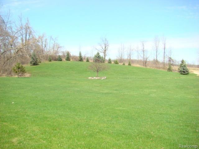 6900 Martin Road Imlay City, MI 48444 - Photo 29 of 46