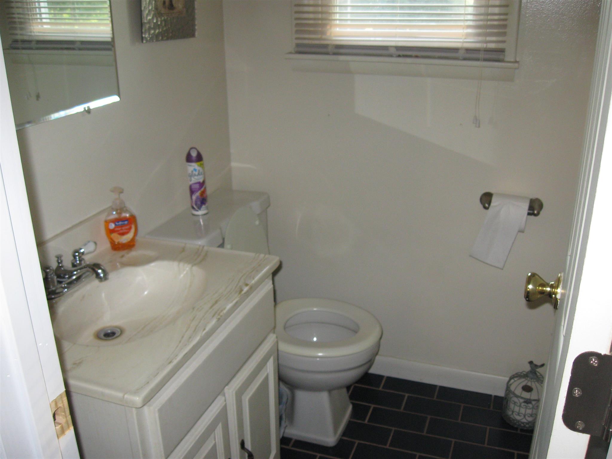 213 Black Road Dickson, TN 37055 - Photo 16 of 27 a bathroom with a sink and toilet