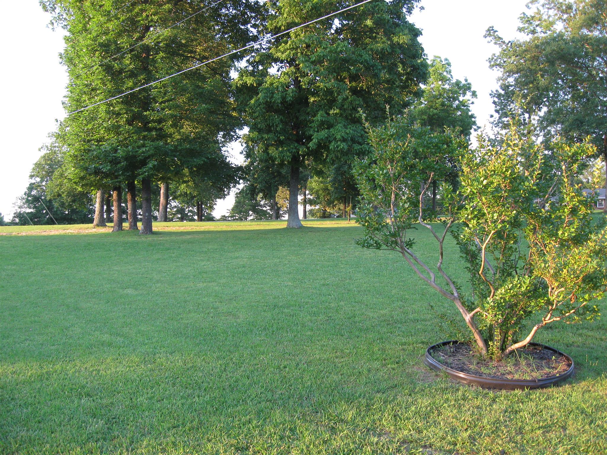 213 Black Road Dickson, TN 37055 - Photo 26 of 27 a view of a golf course with a fountain