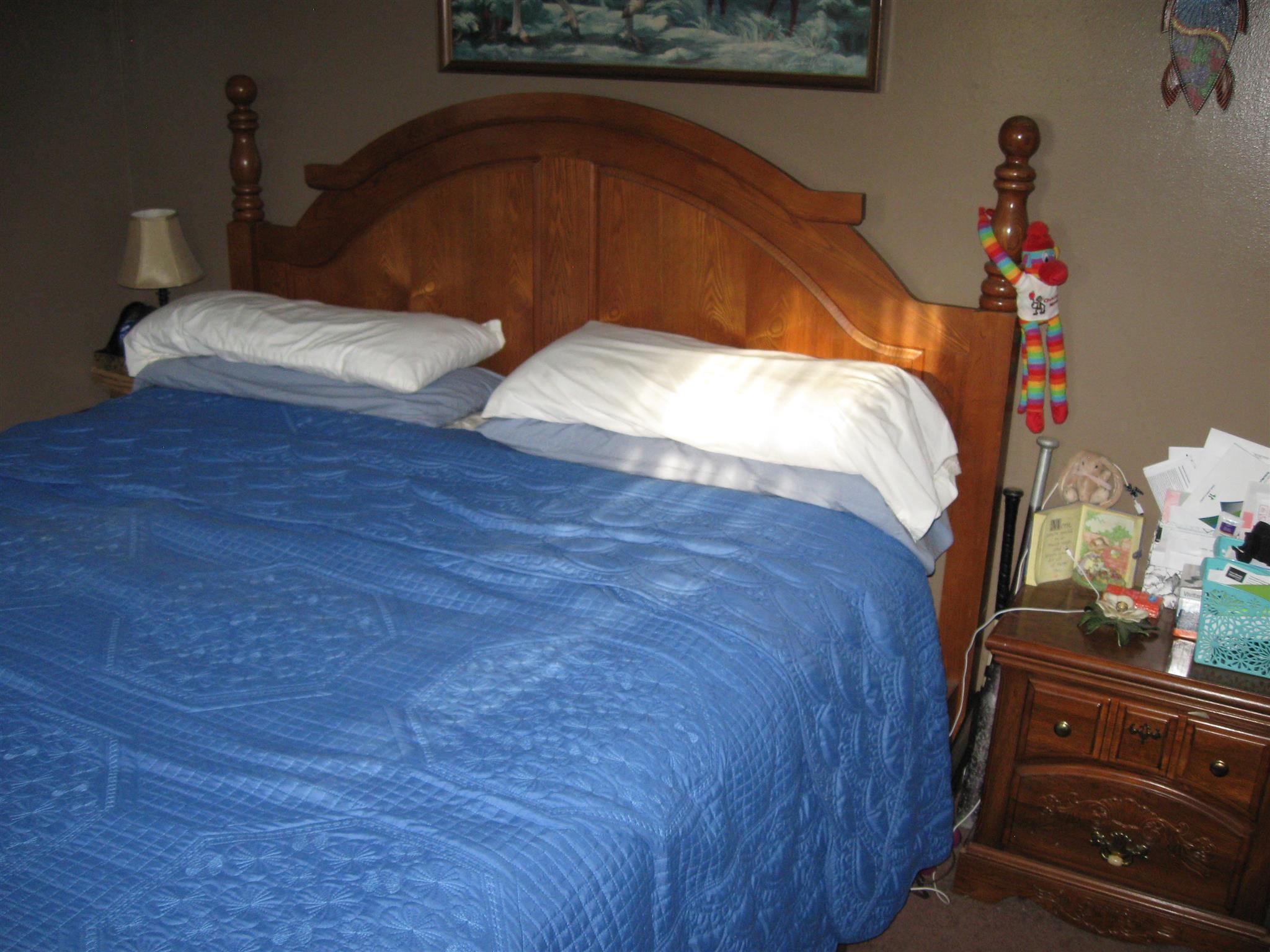 213 Black Road Dickson, TN 37055 - Photo 8 of 27 a bed sitting in a bedroom next to a window