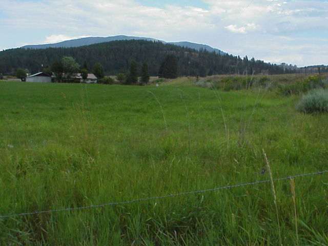 294 Aladdin Road Colville, WA 99114 - Photo 3 of 4