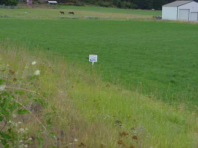 294 Aladdin Road Colville, WA 99114 - Photo 4 of 4