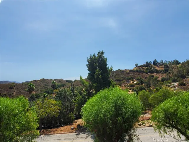a view of a bunch of trees and bushes