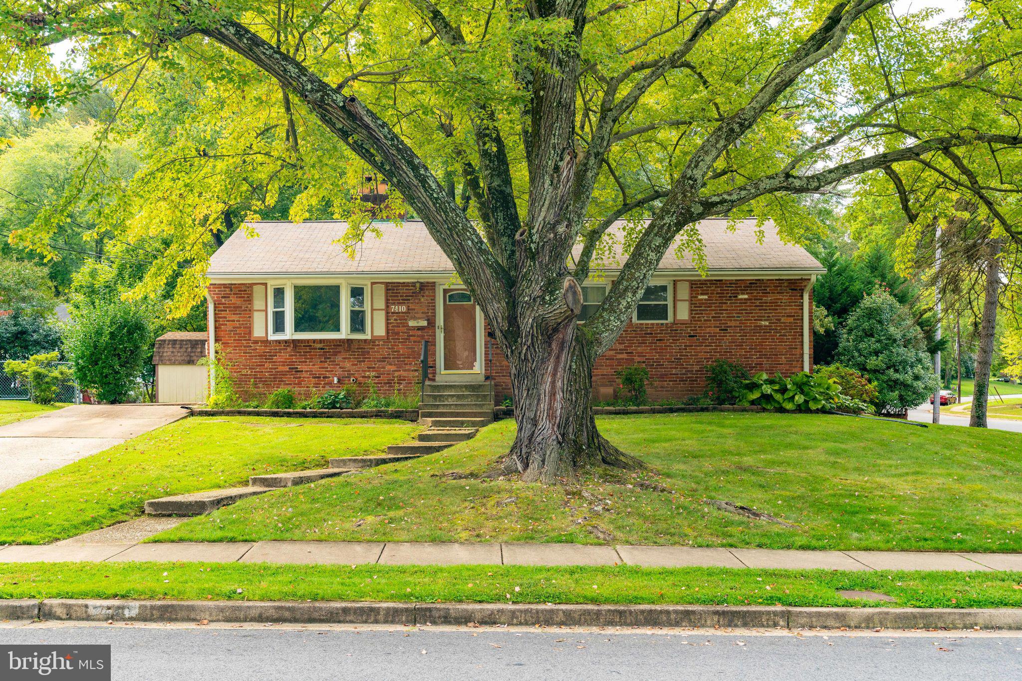 7410 Long Pine Drive Springfield, VA 22151 - Photo 2 of 53